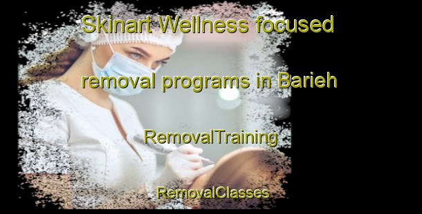 Skinart Wellness-focused removal programs in Barieh | RemovalTraining | RemovalClasses | SkinartTraining-Indonesia