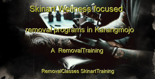 Skinart Wellness-focused removal programs in Karangmojo A | #RemovalTraining #RemovalClasses #SkinartTraining-Indonesia