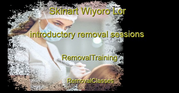 Skinart Wiyoro Lor introductory removal sessions | RemovalTraining | RemovalClasses | SkinartTraining-Indonesia
