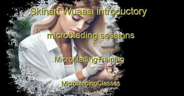 Skinart Wuaasi introductory microblading sessions | MicrobladingTraining | MicrobladingClasses | SkinartTraining-Indonesia